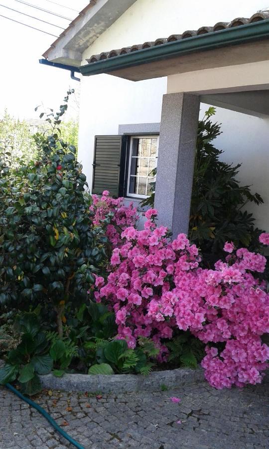 Casa Pinho Guest House São Pedro do Sul Eksteriør bilde
