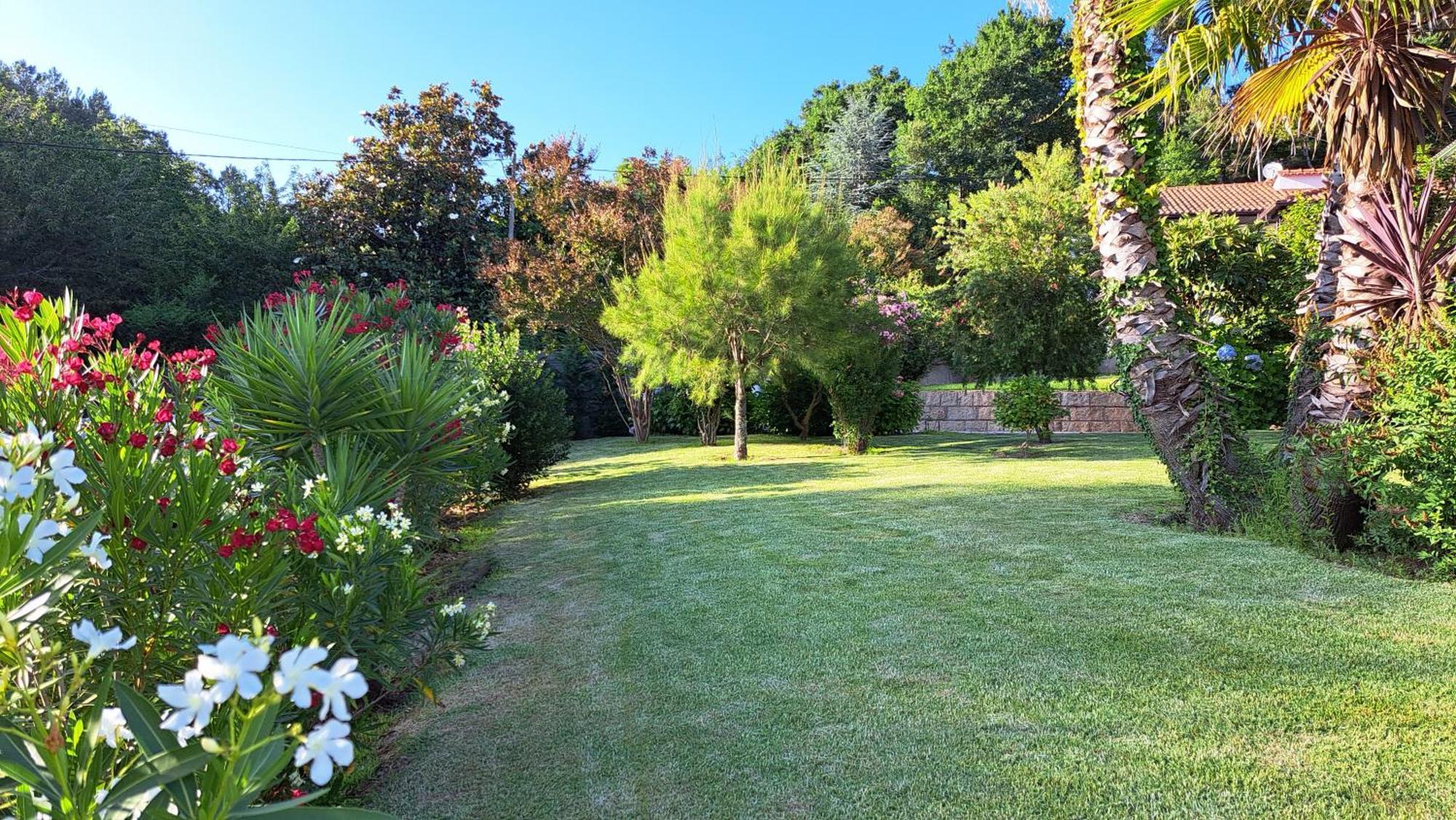 Casa Pinho Guest House São Pedro do Sul Eksteriør bilde