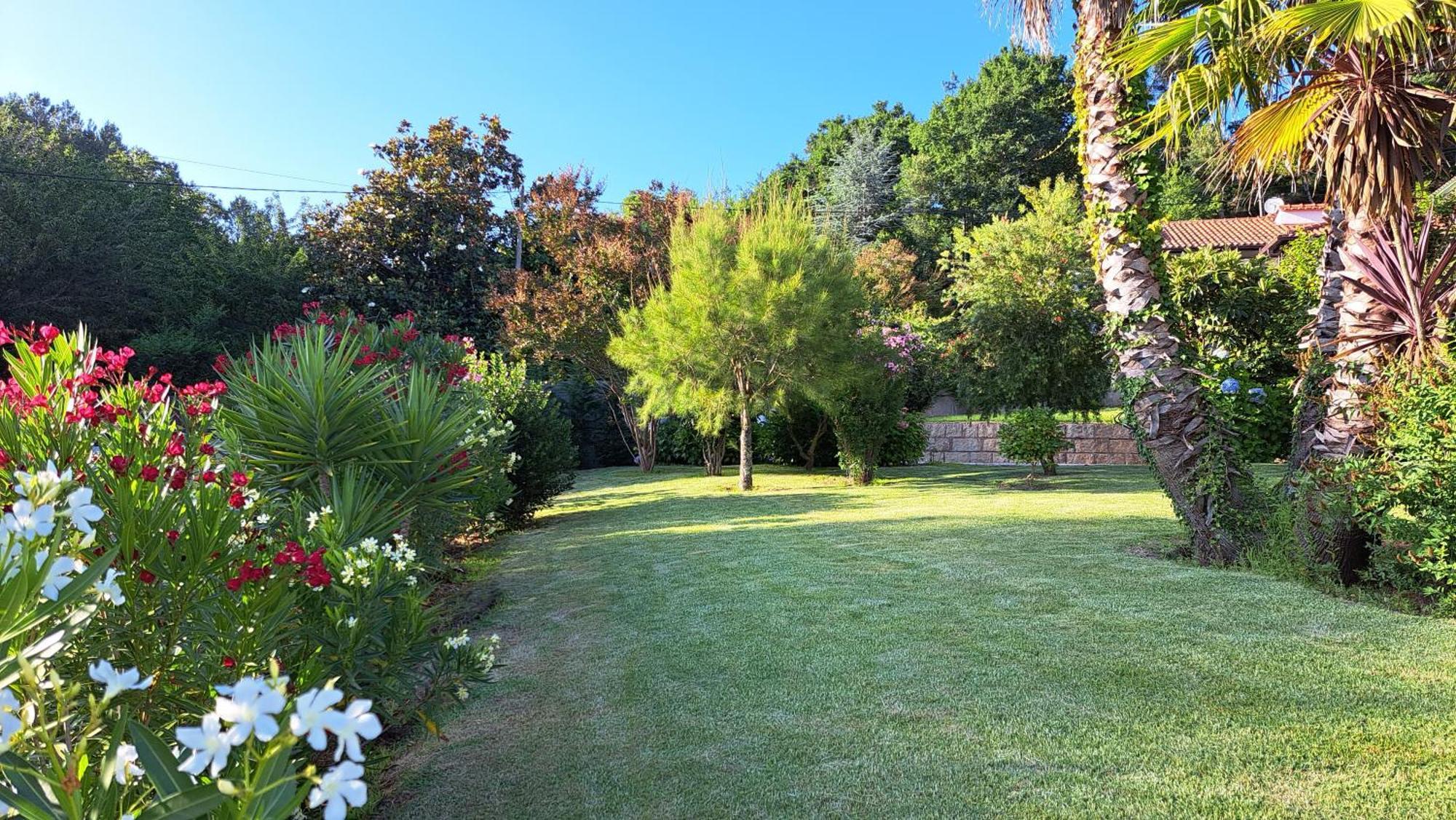 Casa Pinho Guest House São Pedro do Sul Eksteriør bilde