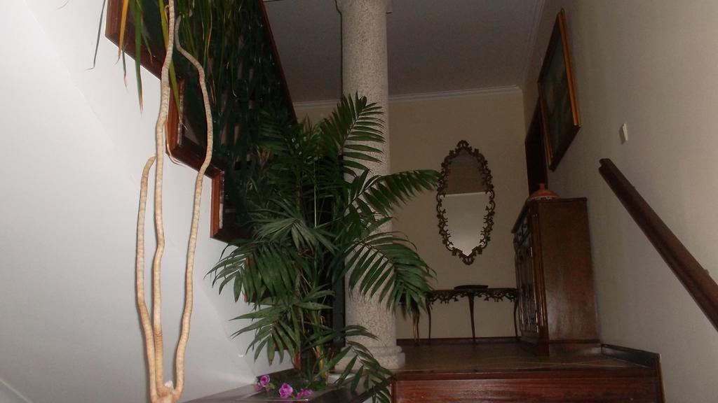Casa Pinho Guest House São Pedro do Sul Eksteriør bilde